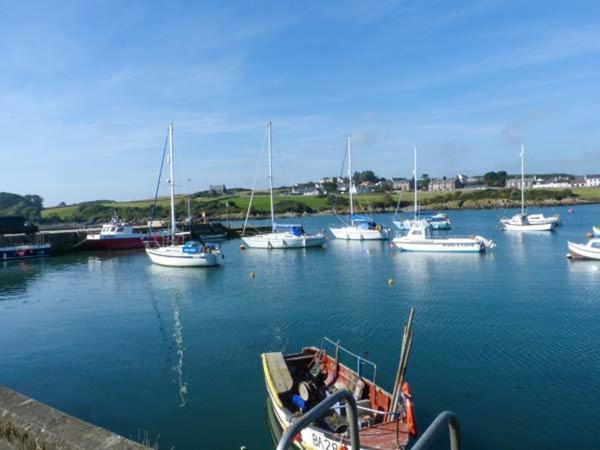 Apartamento The Clamshell Isle of Whithorn Exterior foto